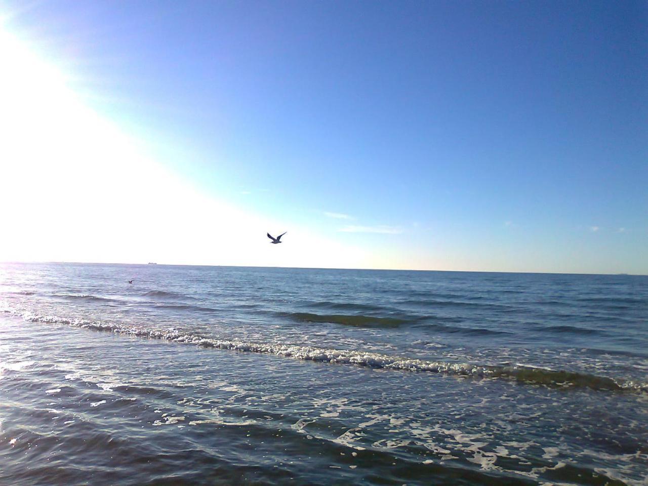 Flat With Sauna In Rerik On The Baltic Sea 외부 사진